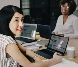 如何查域名的注册人，如何合法查询域名注册人信息，全流程指南与风险防范