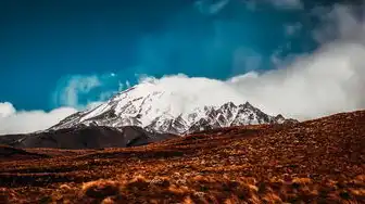 向日葵远程控制为什么显示主机不在，向日葵远程控制连接成功但无桌面显示的12种原因及深度排查指南