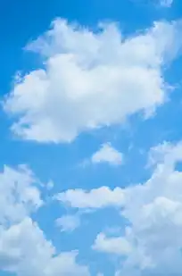 云服务中的云盘是什么，云服务、云盘与云空间，概念解析与行业应用指南
