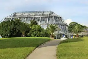 西安远程科技有限公司，西安远程科技有限公司，深度解析VPS远程桌面服务器官方最新版的技术架构与行业应用实践
