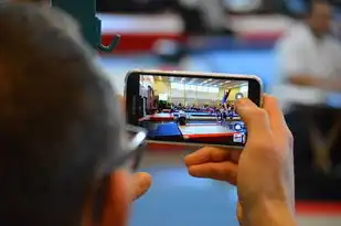 中国云服务市场份额排行榜前十，2023年中国云服务市场份额排行榜深度解析，阿里云领跑市场，国产替代加速行业格局重构