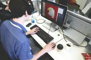 国内免费域名注册软件，国内免费域名注册全攻略，从选择到维护的实用指南（3370字深度解析）
