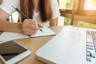 cdn加速服务器赚钱合法吗，CDN加速服务器如何合法赚钱？揭秘行业潜规则与合规运营指南