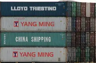 英文域名注册流程和费用，英文域名注册全指南，从选域到续费的全流程解析与成本清单