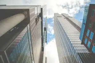 自建云服务器需要什么技术，自建云服务器技术全解析，从零到一构建私有云基础设施的技术实践指南
