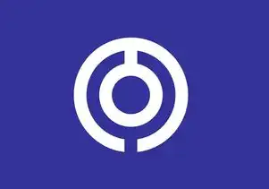 日本 云服务器，日本云服务器，企业数字化转型的战略支点—亚太枢纽的云基础设施深度解析
