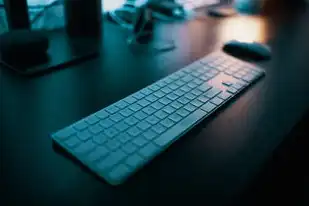 虚拟机usb设备连接不成功怎么办，虚拟机USB设备连接不成功，从底层原理到全平台解决方案终极指南