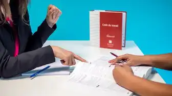域名注册的法律法规是什么，域名注册的法律法规，全球视角与中国实践