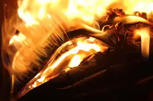 阿里新加坡公司,突发,阿里新加坡数据中心突发大火,全球业务遭遇重大冲击