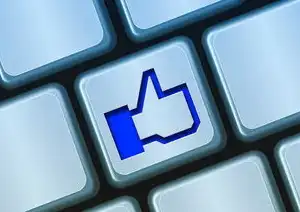 如何查询域名注册者名字信息,如何查询域名注册者名字,全面指南与操作方法