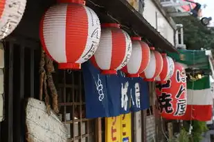 日本国外服务器租用价格表，日本海外服务器租用全攻略，价格、优势与实战指南（2023年最新分析）