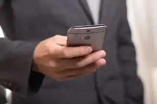 中文域名注册局官网，中文域名注册局权威指南，全流程解析与实务操作手册