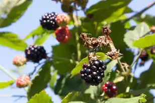 电脑主机第四个红色灯闪烁什么原因,电脑主机第四个红色灯闪烁故障全解析,从硬件到软件的深度排查指南