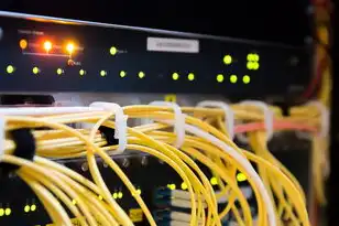 家庭服务器哪个系统好用，家庭服务器操作系统终极指南，Windows Server、Linux、macOS与NAS系统对比评测