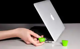 虚拟机破解版下载中文版安装，免费中文版虚拟机安装全攻略，VMware Workstation Player与VirtualBox双平台实战指南