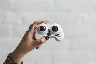虚拟机型下载ios，手机端虚拟机ISO文件下载与iOS系统模拟全解析