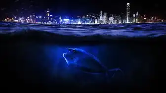 云服务器海上狼人杀，当虚拟空间遇见沉浸式社交实验