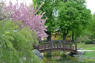 日本樱花服务器是什么品牌，日本樱花服务器是什么？深度解析其技术架构、市场定位与行业影响力