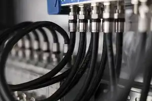 一个显示器接俩主机，双主机显示器连接解决方案全解析，设备选择、配置步骤与实战技巧