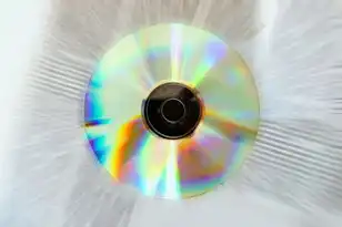 对象存储技术适用于哪些方面的，对象存储技术赋能数字时代，多元化应用场景与未来趋势深度解析