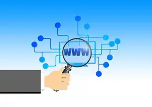 域名注册信息怎么查，域名注册信息查询全攻略，从基础操作到高级技巧的完整指南