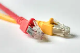 服务器拥有永久的ip地址是什么，服务器永久IP地址，技术解析与应用指南（标题优化版）