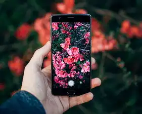 华为云obs存储类型，华为云OBs对象存储工具深度解析，高可用架构、智能管理及企业级应用实践指南（标题字数，54字）