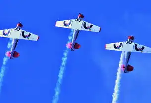 虚拟机桥接模式实现物理机同网段技术解析与实战指南