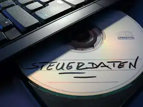 主机8g内存够用吗，8GB内存能流畅运行哪些程序？深度解析8GB内存主机的性能边界与适用场景