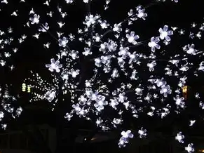 笔记本电脑当主机外接显示器，笔记本电脑变身主机，外接显示器桌面布局全攻略（3127字）