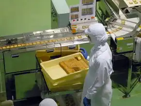 服务器和物理机的区别，物理机服务器与虚拟机服务器的价格与性能全解析，如何根据需求选择最合适的硬件方案