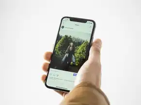 项目部署到服务器上，payment服务