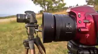 物理机如何访问虚拟机硬盘文件，物理机访问虚拟机硬盘的完整指南，从基础操作到高级技巧
