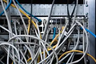 vmware 虚拟网络，VMware虚拟网络架构与虚拟机连接全解析，从入门到企业级应用实践