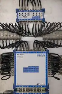 怎么搭建vps主机教程,bin/bash