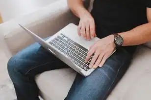 请输入正确的服务器是什么意思啊，自动化诊断脚本示例