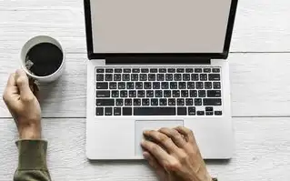 如何查询域名注册人信息，域名注册人信息查询全流程指南，隐私保护与法律边界的平衡之道（2987字）