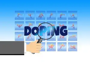 如何查询域名注册公司信息，域名注册公司全解析，从信息查询到企业资质核实的权威指南（2023版）