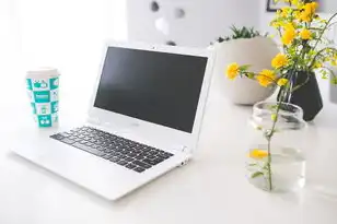 查询二级域名注册信息怎么查明细表，二级域名注册信息查询全解析，从基础操作到深度应用的2492字指南