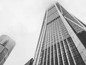 中国云服务商市场份额，2023年中国云服务商市场份额分析报告，格局演变与竞争策略