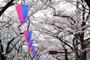 日本樱花服务器正片免费,关于日本樱花主题数字内容平台的深度解析与合法使用指南