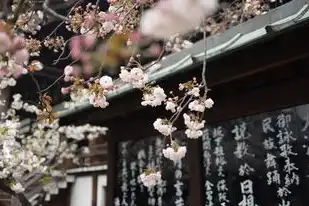 日本樱花服务器正片免费，关于日本樱花主题数字内容平台的深度解析与合法使用指南