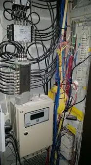 网站服务器提供什么服务，网站服务器提供商类型全解析，从基础托管到智能云服务的12种服务模式与选型指南