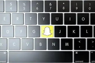 虚拟机共享软件怎么安装,虚拟机共享软件保姆级全平台安装指南,Windows/macOS/Linux/移动端实战教程(含避坑秘籍)