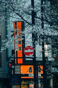 日本樱花服务器sakura哦在家，樱花服务器全解析，架构设计、文化融合与未来展望