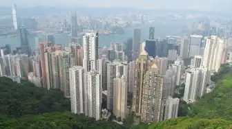 香港域名注册商标流程，香港域名注册商标全流程深度解析，从申请到维护的完整指南