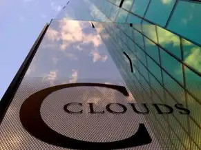 云服务器可用的镜像类型有哪几个，云服务器镜像选择全指南，CentOS、Ubuntu、Windows Server、阿里云镜像及自定义镜像的深度解析