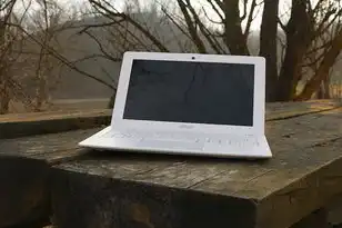 一个主机多人使用需要什么设备，多用户独立工作模式主机系统建设指南，设备配置与技术实施方案