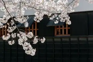 日本樱花服务正片，樱吹雪与数据之舞，免费动漫服务器的诞生